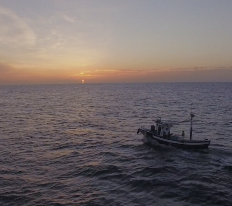 EDF Oceans: Fundraising video